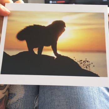 CENTREDMVET - Montréal - I got this card from them today... - Veterinarians Near Me - Lachine, Quebec