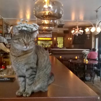 Cafe Sarphaat - Bar cat - Cafes Near Me - Amsterdam, New Hampshire Cafe Sarphaat - Bar cat - Cafes Near Me - Amsterdam, New Hampshire