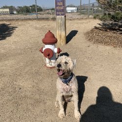 Rock Springs Dog Park - Louie Jasper in front of the fake hydrant thought that was a cool touch.