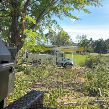 Davis Aerial Tree Service - Tree Services Near Me - Enid, Mississippi Davis Aerial Tree Service - Tree Services Near Me - Enid, Mississippi