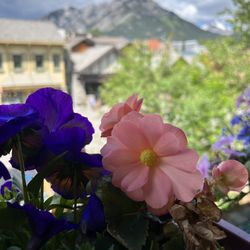 Banff Ave Brewing Co - Gorgeous views on the patio