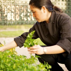 Bastion - Chef Chandra picks many of the herbs, greens, and produce used in the seasonal meals the same day from The Bastion's garden.