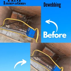 Signature Pest Innovations - Basement clean out prior to Borate treatment.