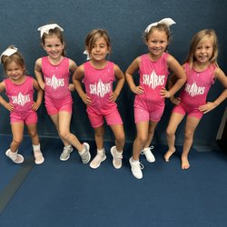 Savannah Sharks Cheerleading & Tumbling-Savannah - Join our TINY PUP non-travel beginner team! Ages 4-6
