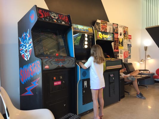 Birds Barbershop by null