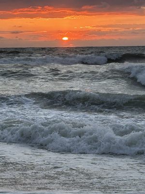 Main Beach Park by null