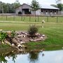Photo of Spirit Praise Ranch