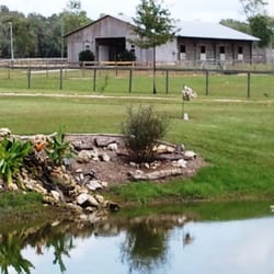 Spirit Praise Ranch - waterfall