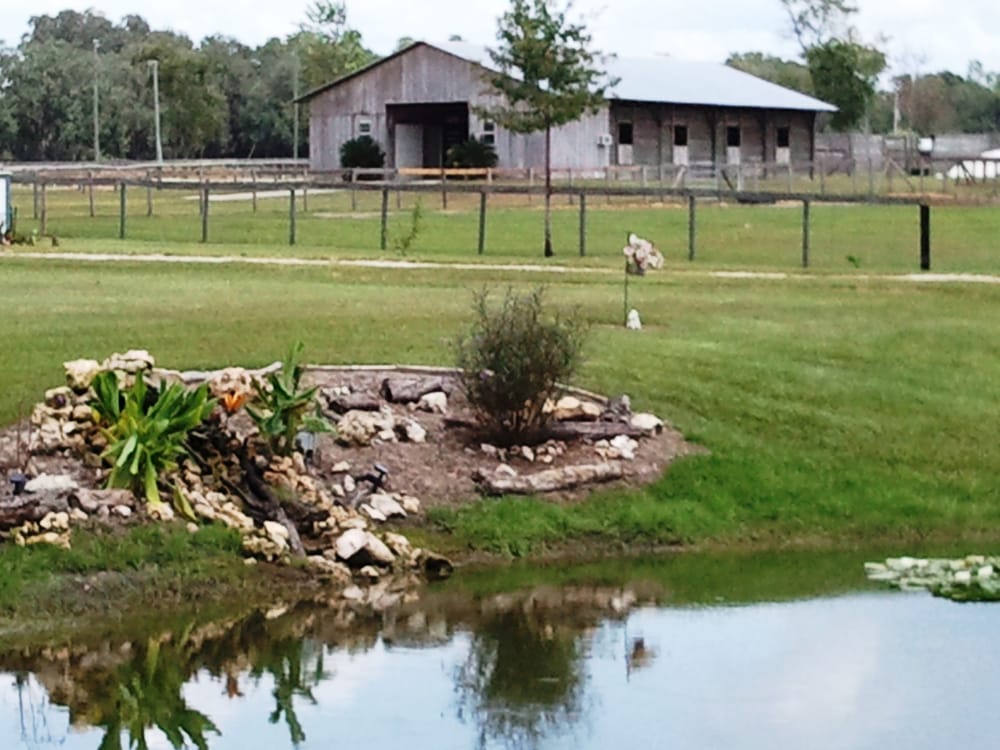 SPIRIT PRAISE RANCH Updated September 2024 9239 NW 115th Ave, Ocala
