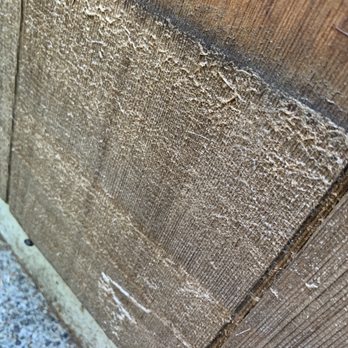 Seattle Steamers - Singles that were power washed! - Carpet Cleaning Near Me - Everett, Washington