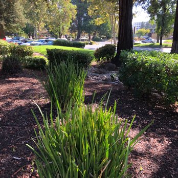 Pacific Service Credit Union - Beautiful grounds leading up to credit union - Banks & Credit Unions Near Me - Concord, California Pacific Service Credit Union - Beautiful grounds leading up to credit union - Banks & Credit Unions Near Me - Concord, California