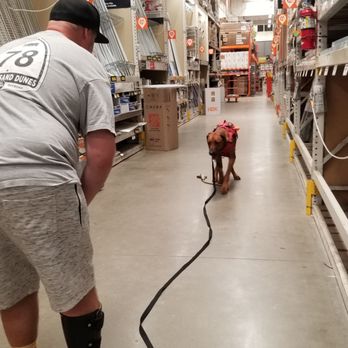 A1K9 - Pet Training Near Me