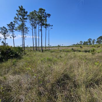 Archbold Biological Station - Community Service/Non-Profit Near Me - Lake Placid, Florida Archbold Biological Station - Community Service/Non-Profit Near Me - Lake Placid, Florida
