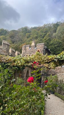 Rheinstein Castle by null