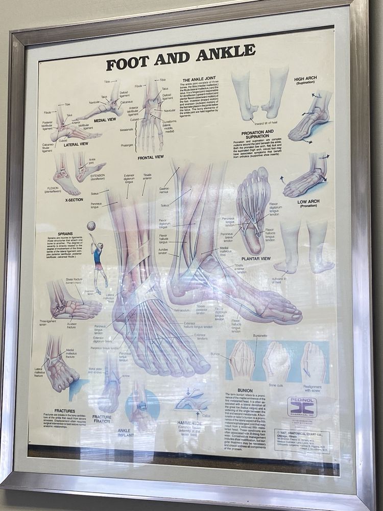 Greenberg David M DPM