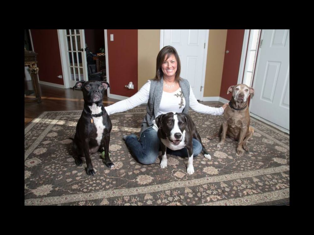 DOG OBEDIENCE BY GINA Updated September 2024 30 Photos Belvidere