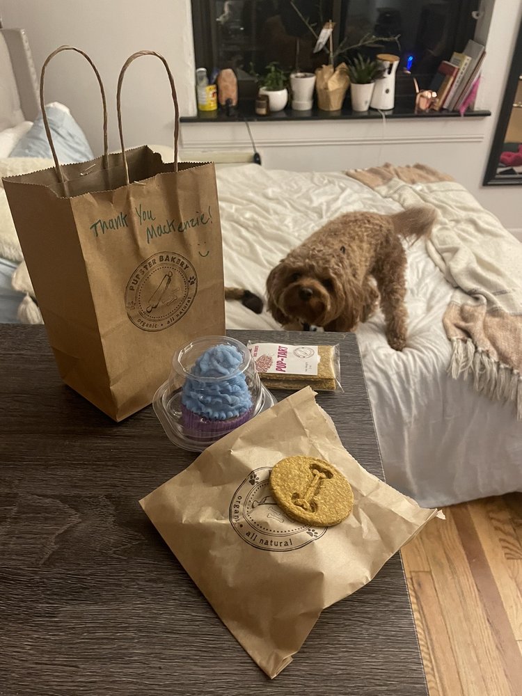 Pupster Bakery Image