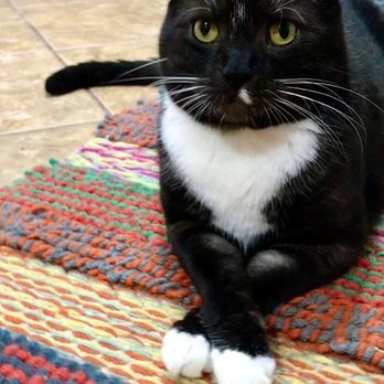 Fur and Feather Pet Care - Photo by Michelle! - Pet Sitting Near Me
