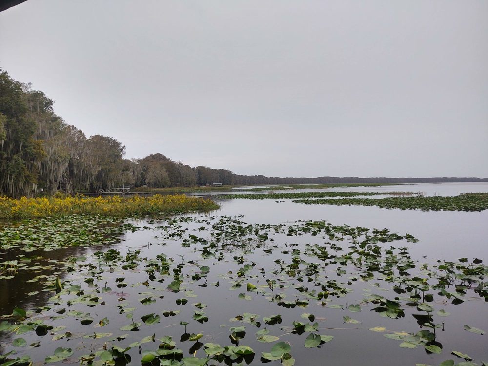 LOCHLOOSA PARK 16204 SE 207th Ln, Hawthorne, FL Yelp