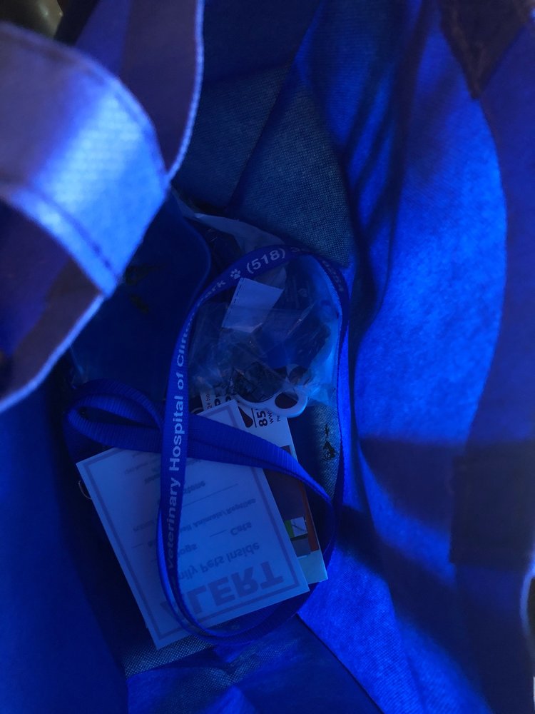 CORNERSTONE VETERINARY HOSPITAL OF CLIFTON PARK Updated June 2024