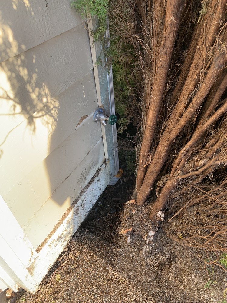 Slide of Good Plumber