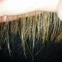 Photo of Shimmer Hair Salon