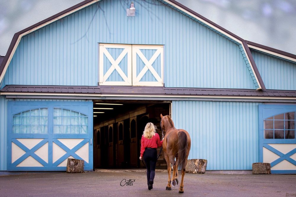 Willow Way Riding Academy - equestrian in Shelbyville, KY