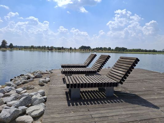 Shelby Farms Park by null