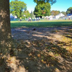 Dennis Obrien Memorial  Field