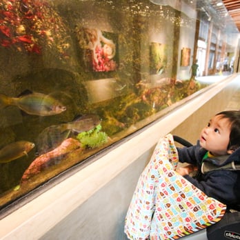 Seattle Aquarium - Baby enjoying the fish! - Aquariums Near Me - Seattle, Washington Seattle Aquarium - Baby enjoying the fish! - Aquariums Near Me - Seattle, Washington