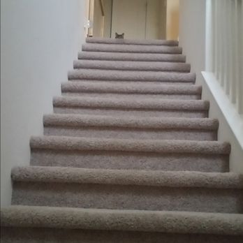 George's Pet Sitting - You ever get the feeling your being watched? - Pet Sitting Near Me