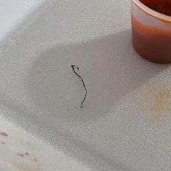 Shanghai Express - A piece of metal scrubbing pad in my chicken .. thank god I saw it before eating the piece