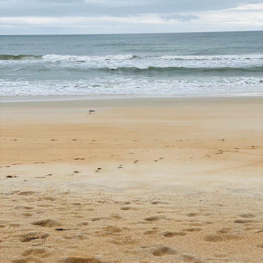 Varn Park - Sand & Sea - mix of mushy sand and fine shells - Beaches Near Me - Palm Coast, Florida