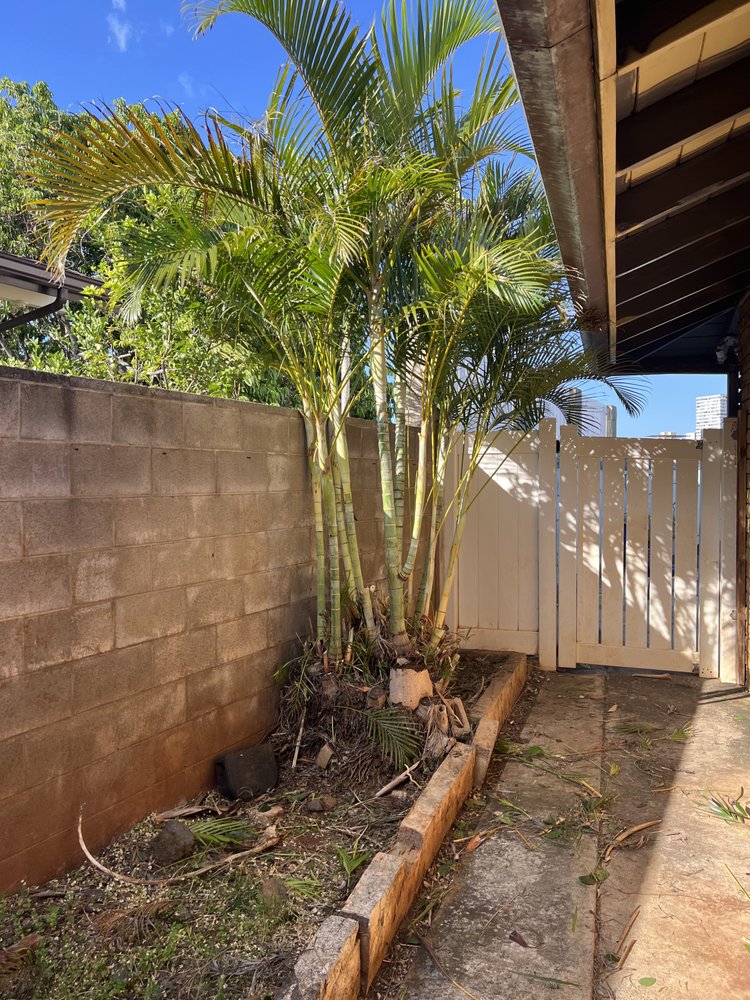 Johnny Clark Landscaping - tree service in Honolulu, HI