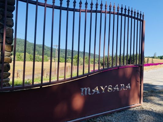 Maysara Winery by null