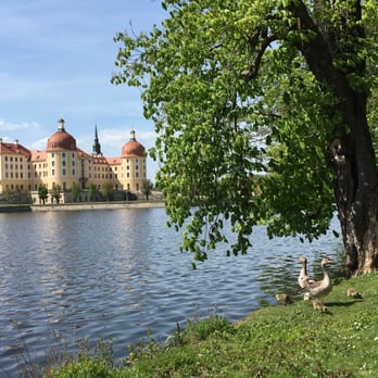 Schloss Moritzburg - Landmarks & Historical Buildings Near Me - Moritzburg, SN