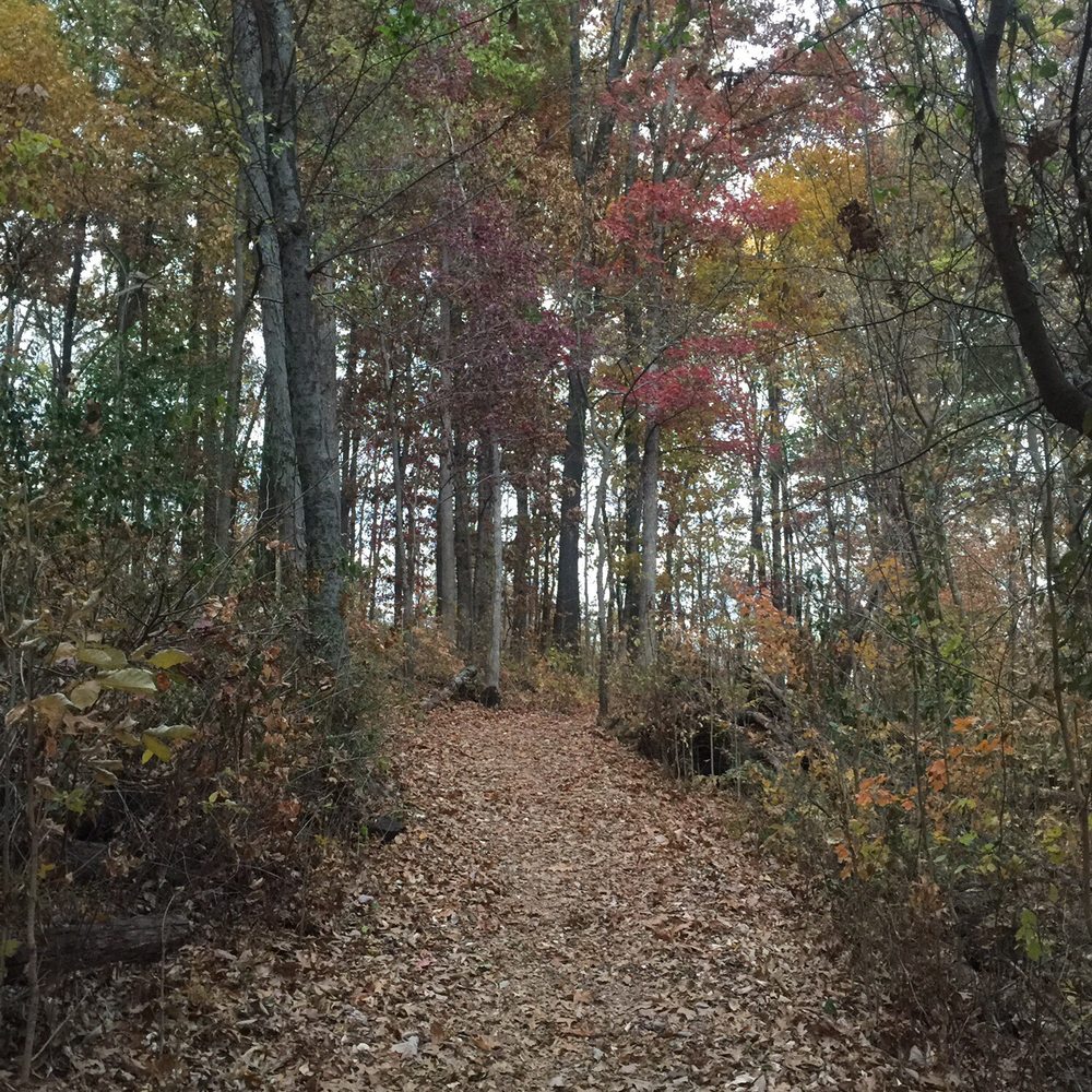 Maury County Park - Walking around before thanksgiving - Parks Near Me - Columbia, Tennessee