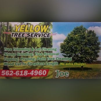 Yellow Tree Services - Their business card I found on yelp. - Tree Services Near Me