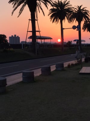 Miyazaki Kanko Hotel by null