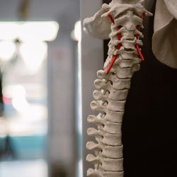 Total Therapy Rehabilitation & Wellness Centre