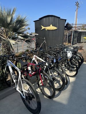 Lofty Coffee Encinitas Roasting Works by null