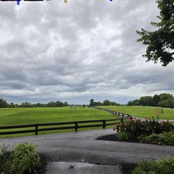 Thoroughbred Golf Club at Highpoint