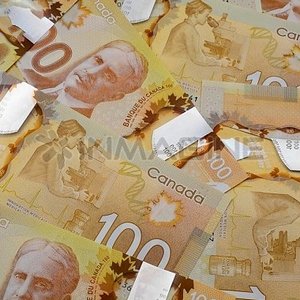 Xcash Money Solutions on Yelp