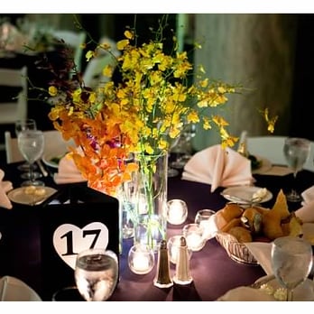 Asrai Garden - Florists Near Me - Chicago, Illinois Asrai Garden - Florists Near Me - Chicago, Illinois