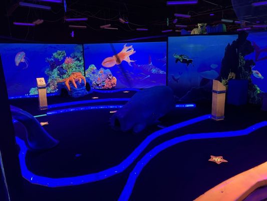 Shankz Mini Golf & Arcades by null