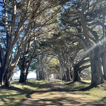 Cypress Tree Tunnel - Parks Near Me - Inverness, California Cypress Tree Tunnel - Parks Near Me - Inverness, California