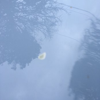 ScrubaDub Auto Wash Centers - Bird droppings still stuck on hood - Car Wash Near Me - Warwick, Rhode Island