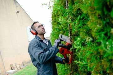 Woodchuck's Arbor Care - tree service in Collegeville, PA