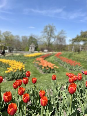 Mohonk Preserve by null