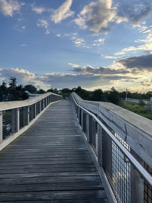 Summer Shanty by null